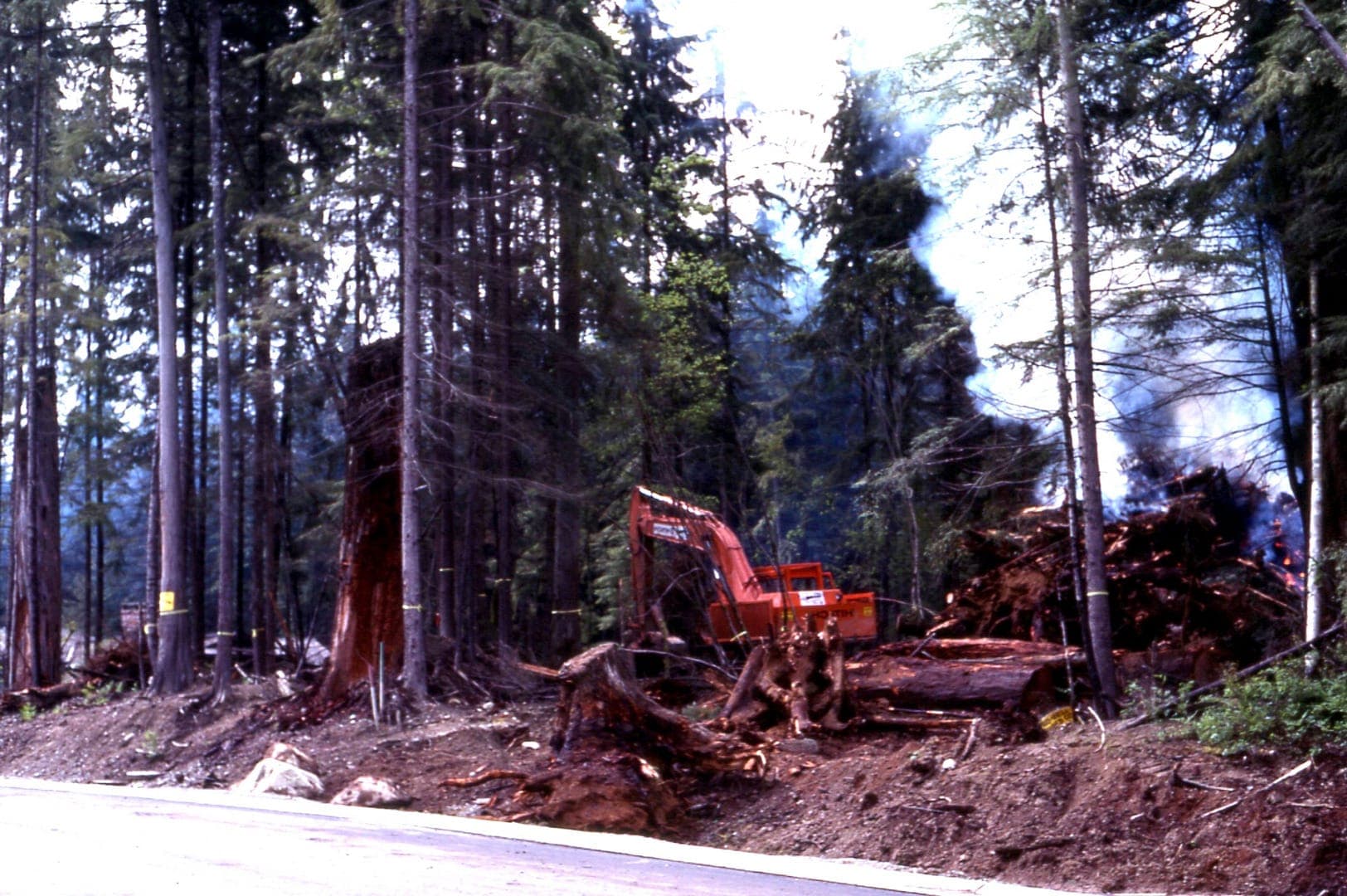 Excavator clearing the forested site, smoke rising from a burn pile