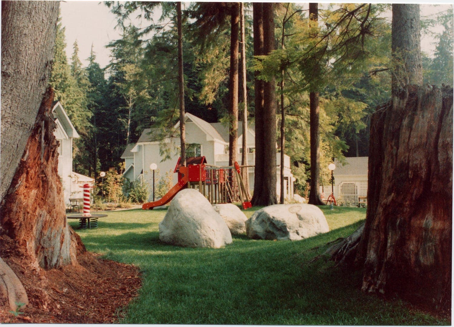 The original red playground framed by two giant cedar stumps