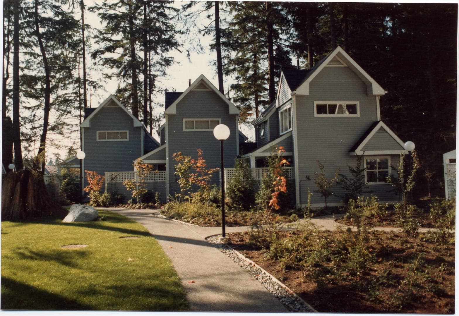 Finished grey houses along a lamplit path with new gardens
