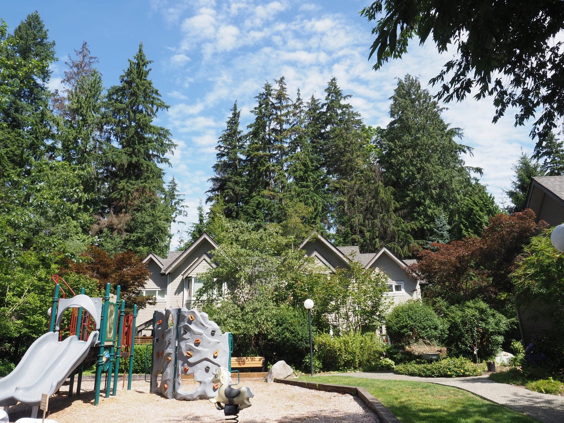 The playground and homes today, beneath the mature forest